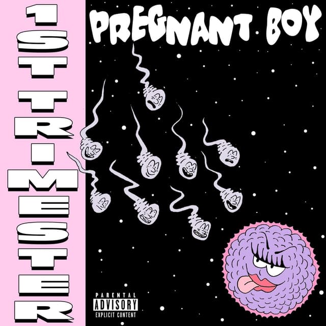 Album cover art for 1st Trimester