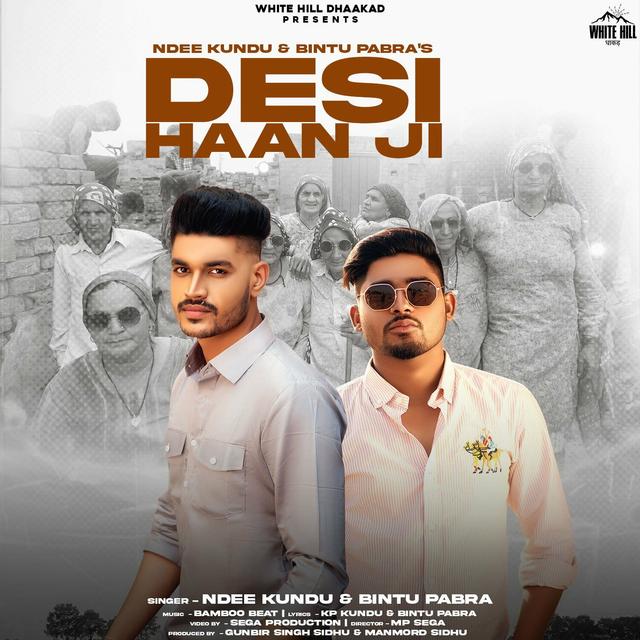 Album cover art for Desi Haan Ji