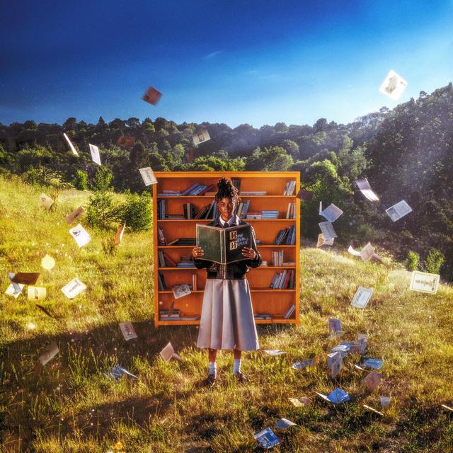 Album cover art for How to Be Human