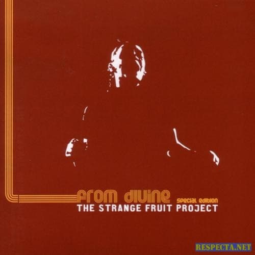 Album cover art for From Divine