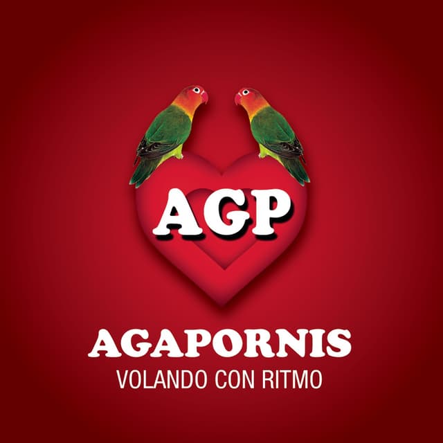 Album cover art for Agapornis - Volando Con Ritmo