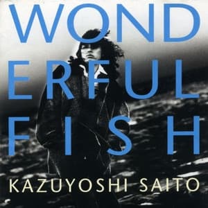 Album cover art for Wonderful Fish