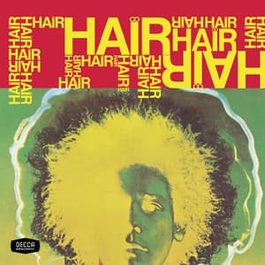 Album cover art for Hair