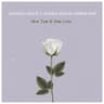 How True Is Your Love [Acoustic]