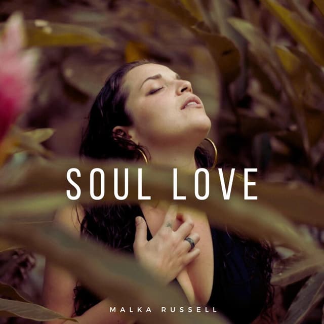 Album cover art for Soul Love
