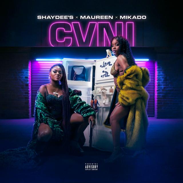 Album cover art for Cvni