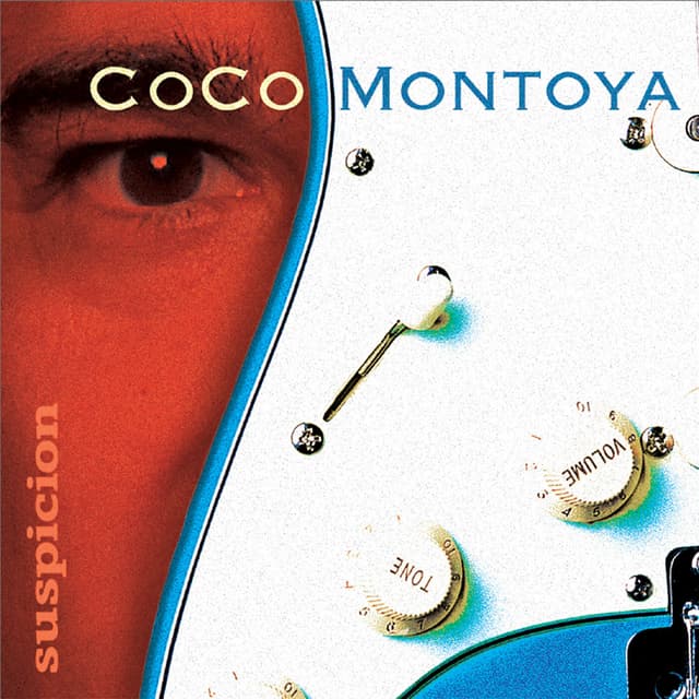 Album cover art for Suspicion