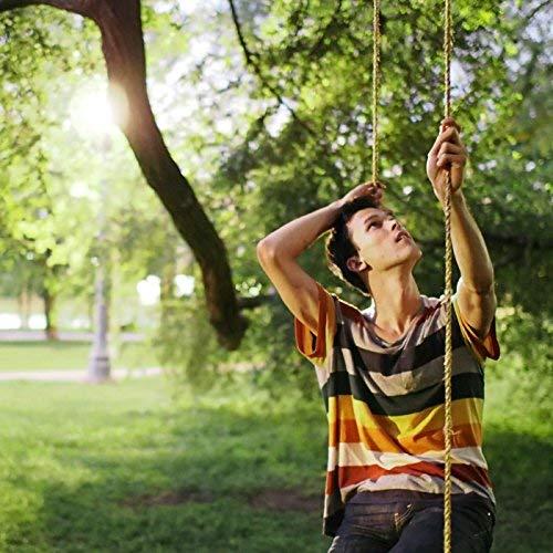 Album cover art for Chestnut Spoke to Maple