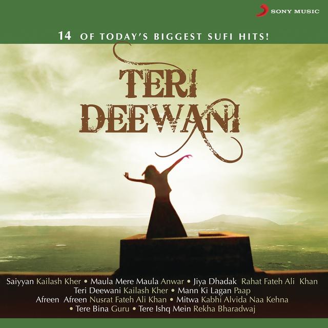 Album cover art for Teri Deewani