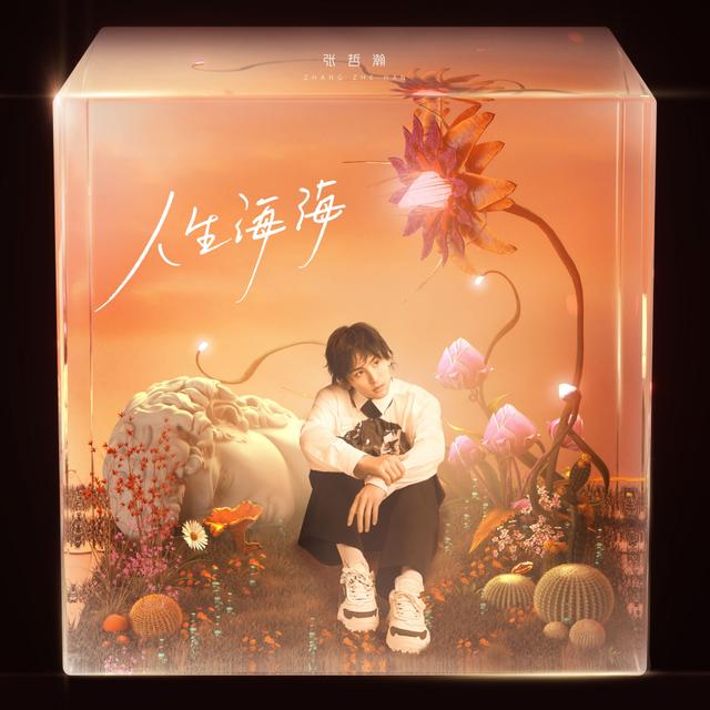 Album cover art for 人生海海Magnificent Life