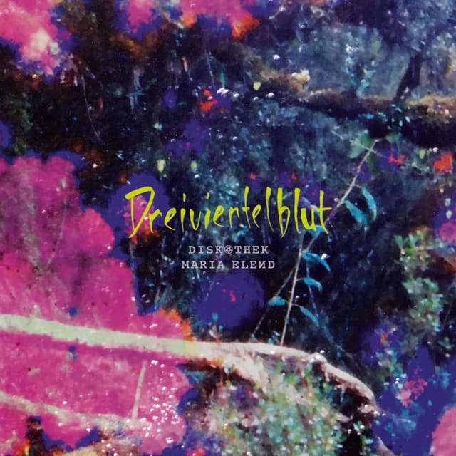 Album cover art for Diskothek Maria Elend