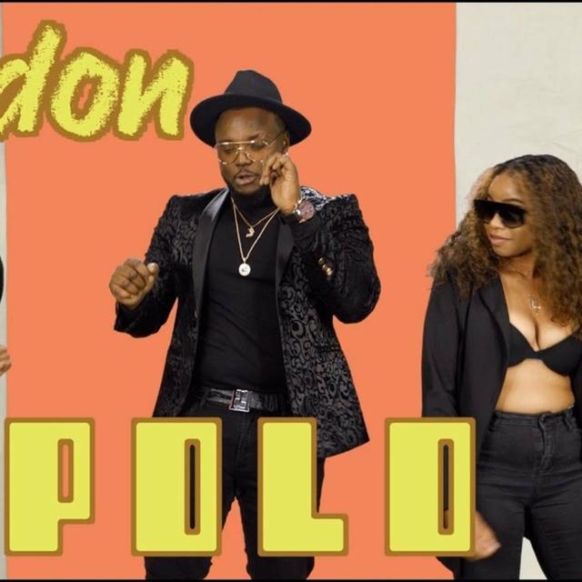 Album cover art for Polo