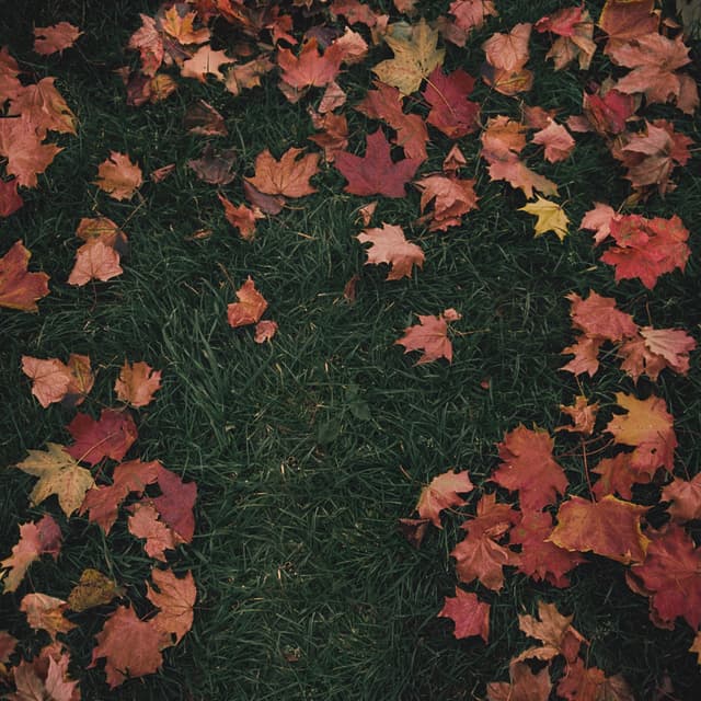 Album cover art for October Passed Me By