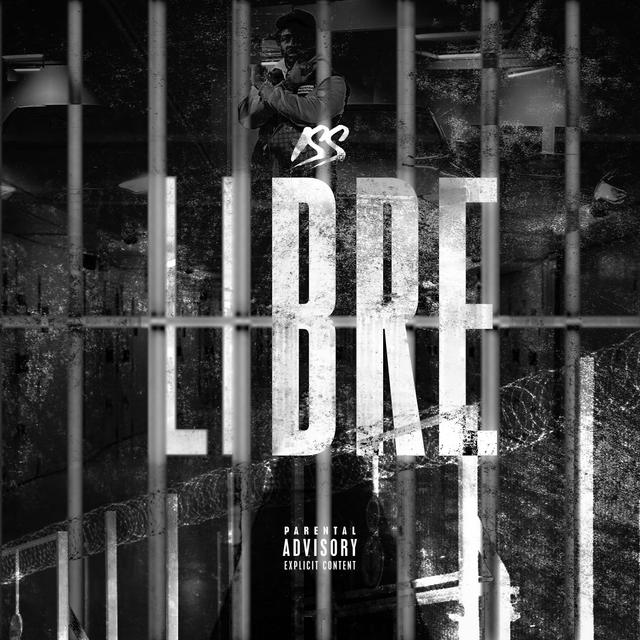 Album cover art for Libre