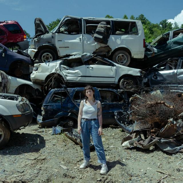 Album cover art for Twin Plagues