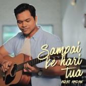 Album cover art for Sampai Ke Hari Tua