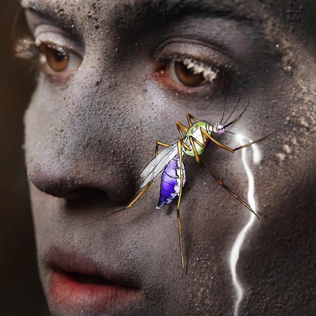 Album cover art for Mosquito