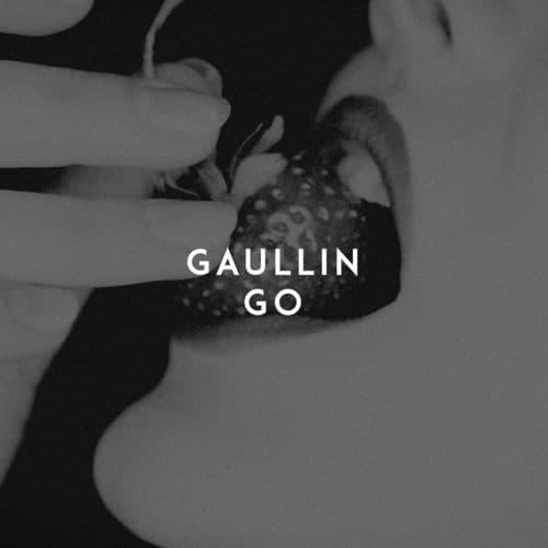 Album cover art for GO