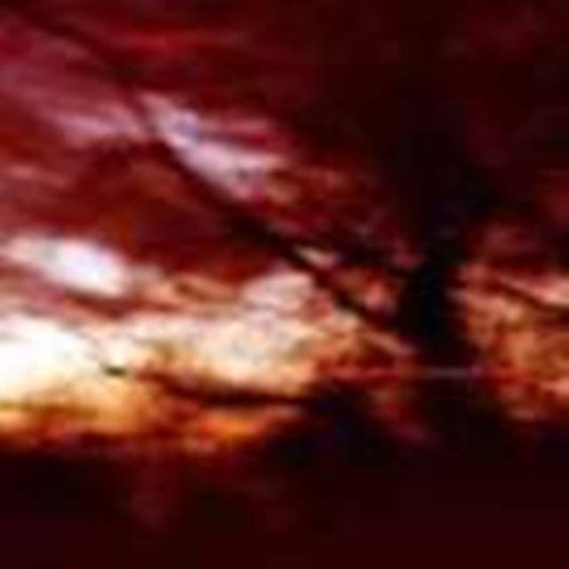 Album cover art for Ewige Blumenkraft