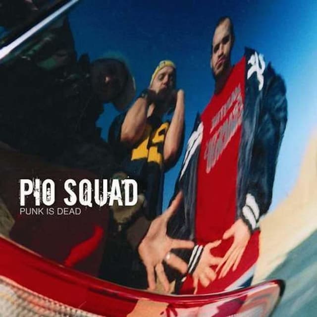 Album cover art for Punk is Dead