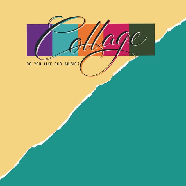 Album cover art for Do You Like Our Music?
