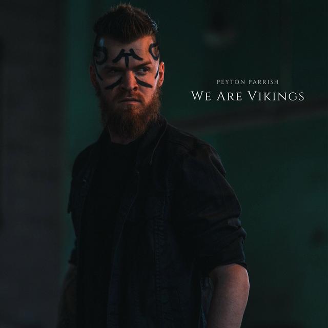 Album cover art for We Are Vikings