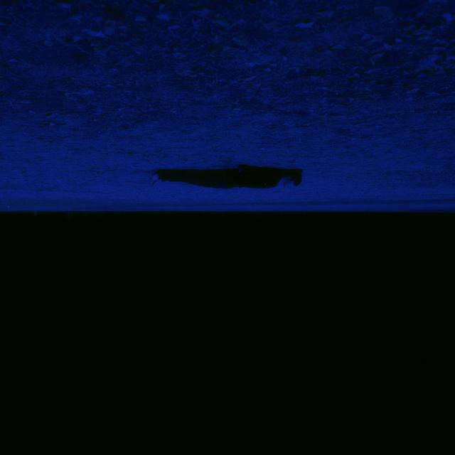 Album cover art for Alone Again