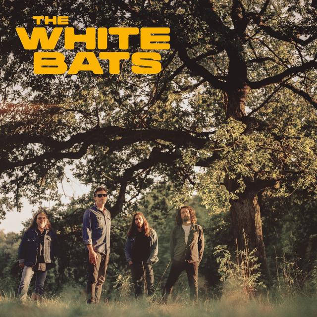 Album cover art for The White Bats