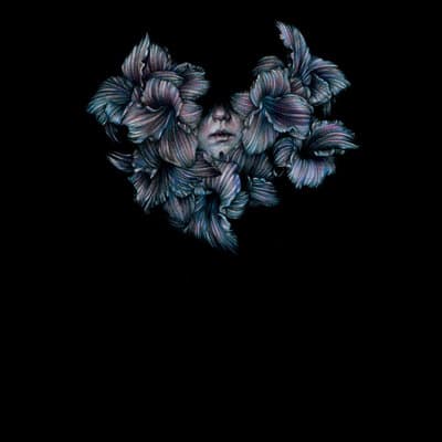 Album cover art for Divisi