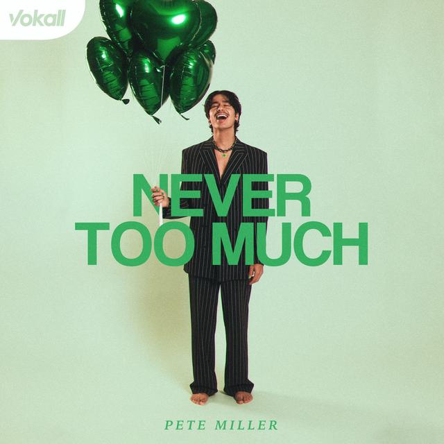 Album cover art for Never Too Much