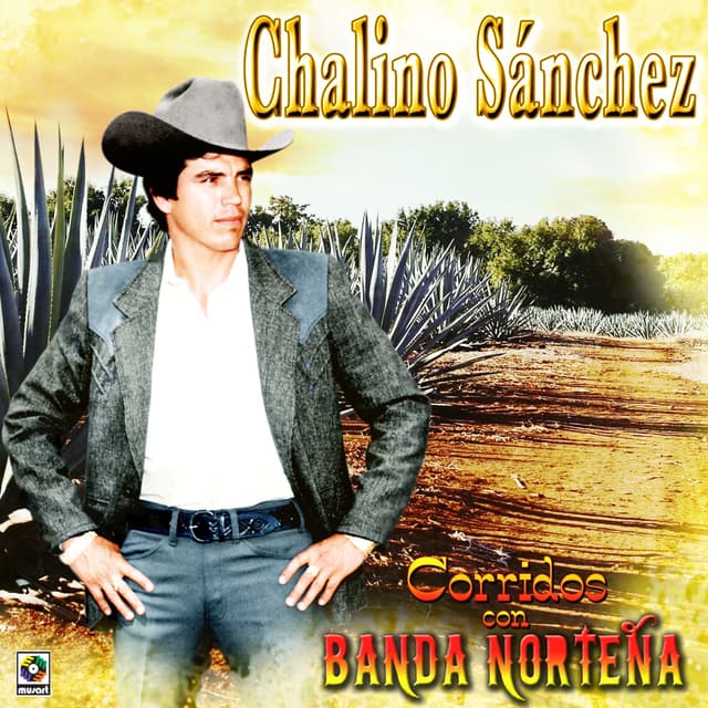 Album cover art for Corridos Con Banda Norteña