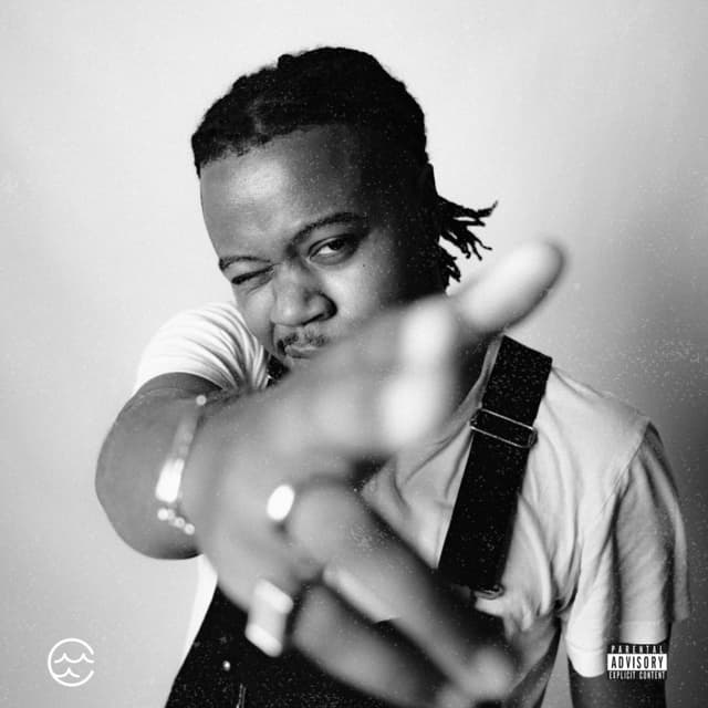 Album cover art for Who Is That