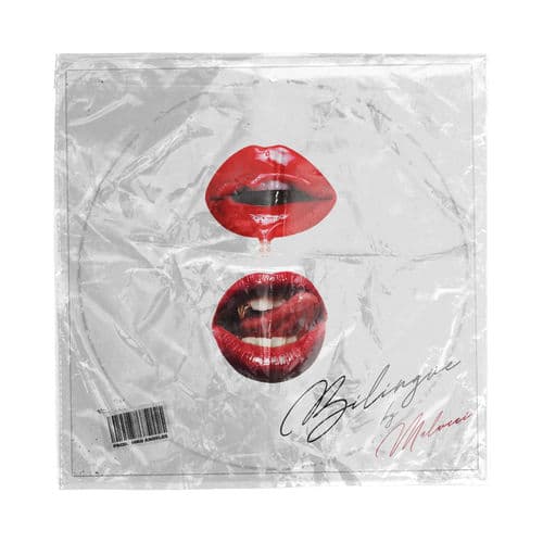 Album cover art for Bilingüe