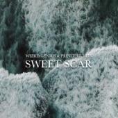 Album cover art for Sweet Scar