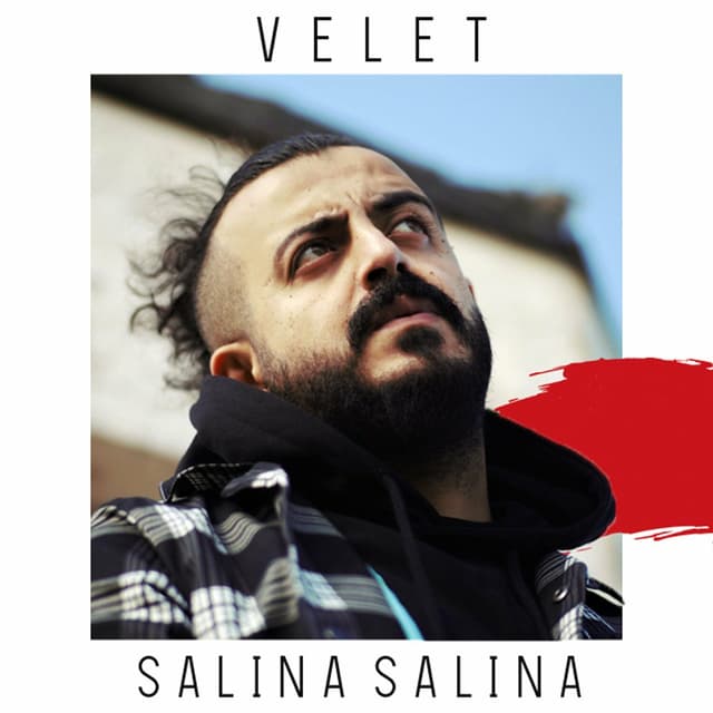 Album cover art for Salına Salına