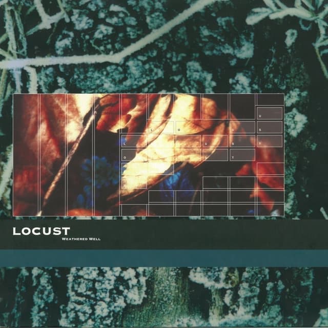 Album cover art for Weathered Well
