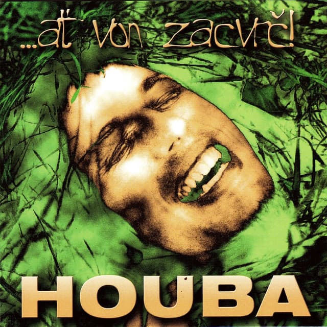 Album cover art for ...ať von zacvrč!