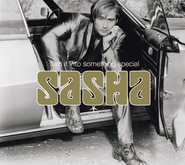 Album cover art for Turn It Into Something Special