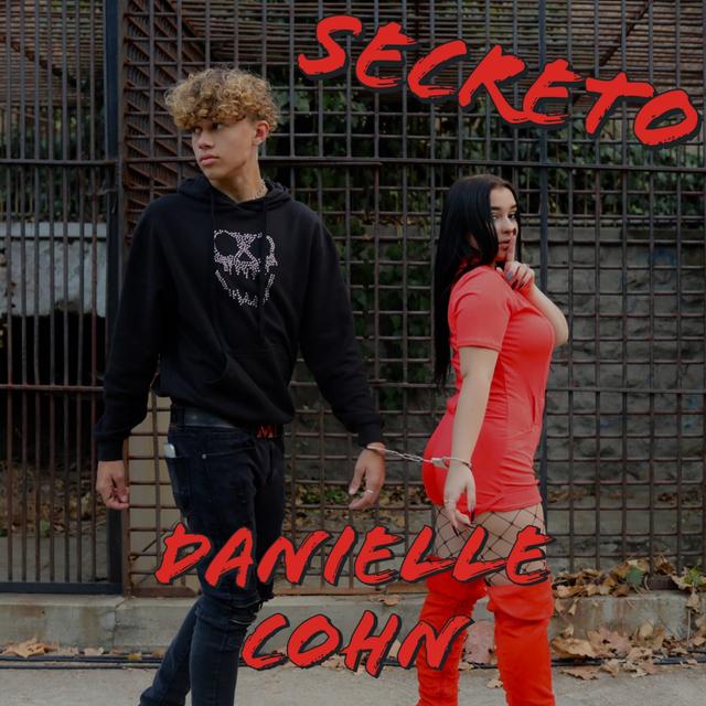 Album cover art for Secreto