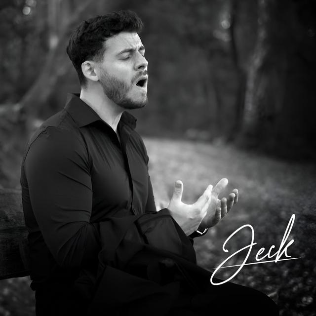 Album cover art for Mistral gagnant