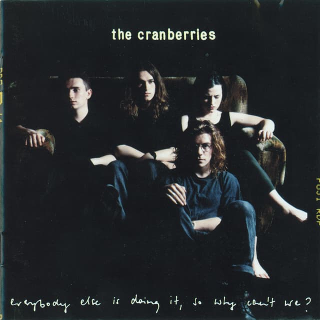 Album cover art for Everybody Else Is Doing It, So Why Can't We?