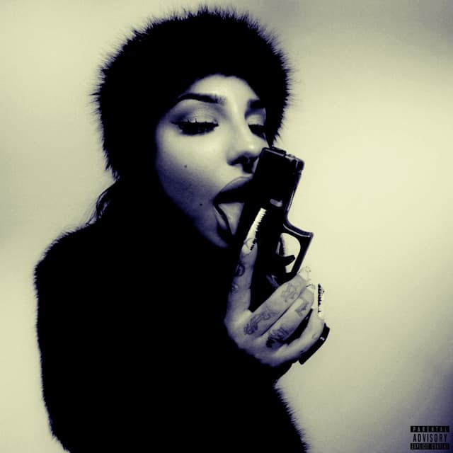 Album cover art for OUTLAWS