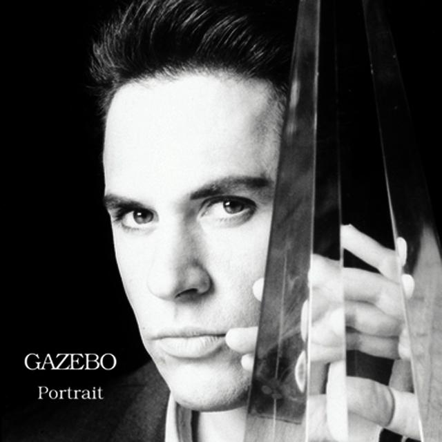 Album cover art for Portrait
