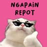 Ngapain Repot