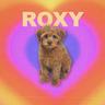 Roxy