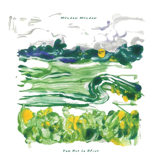 Album cover art for You Are So Alive