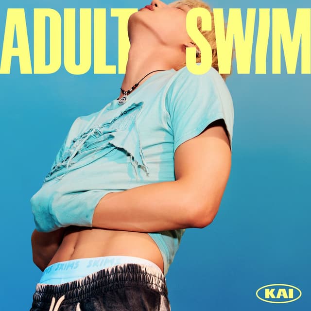 Album cover art for Adult Swim