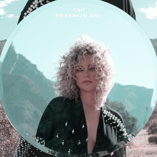 Album cover art for The Otherside