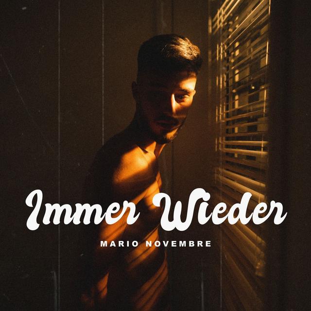 Album cover art for Immer Wieder