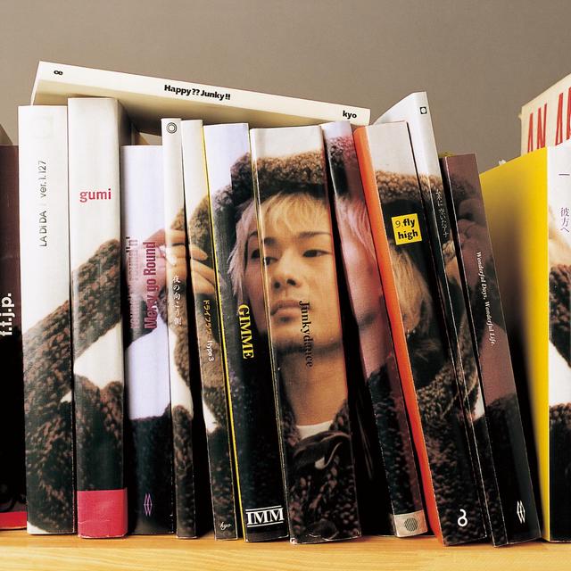 Album cover art for Happy?? Junky!!